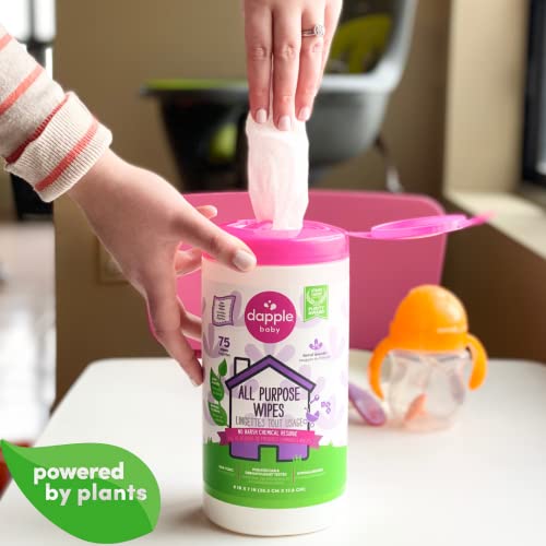 Dapple Baby 75-Count All Purpose Cleaning Wipes