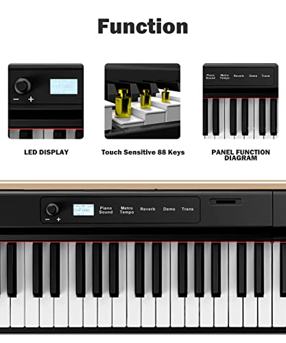 VIP Full Size Finger Dance Portable Piano Keyboard