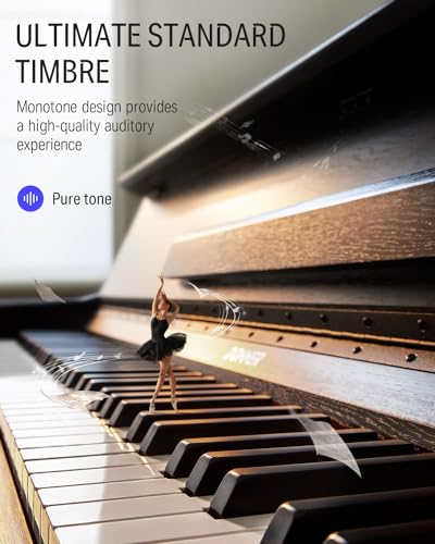 Donner DDP-90 88 Key Weighted Digital Piano VIP