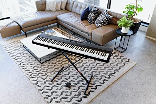 Korg 88 Portable Digital Piano with Built-in Speakers