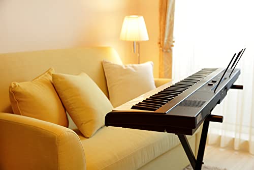 Korg 88 Portable Digital Piano with Built-in Speakers