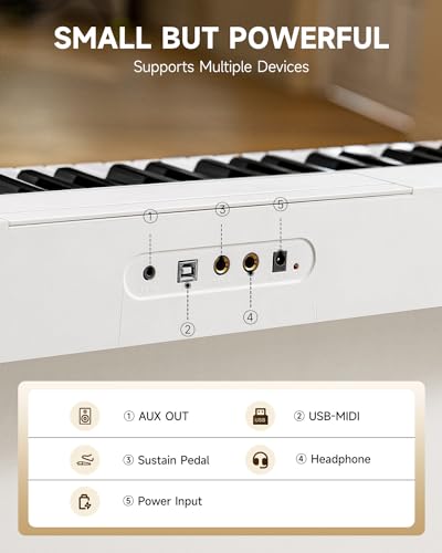 Donner Electronic Keyboard 61 Key Piano for Beginners
