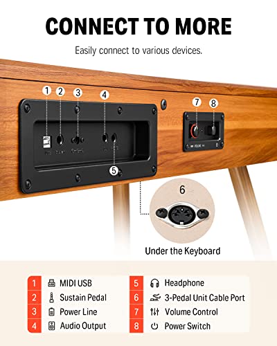 VIP Electric Piano Bundle for Beginners