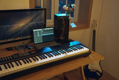STRICH Digital Piano with weighted keys, 2x15W speakers