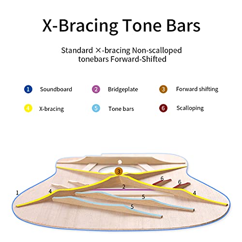 Rosen G31 Black Solid Mahogany Acoustic Guitar Bundle