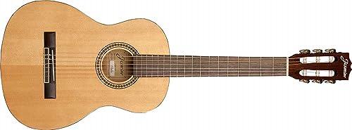 VIP Exclusive J-Series Acoustic Guitar in Natural Finish