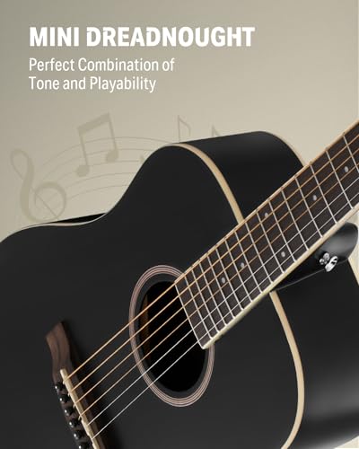 Donner Acoustic Guitar Bundle Kit for Adult Beginners