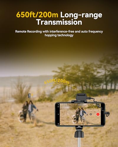 Hollyland Lark M1 Wireless Lavalier Microphone for VIP