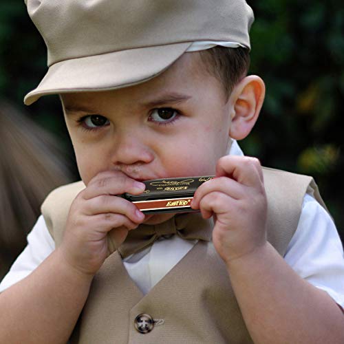 7-Piece East Top Blues Harmonica Set for All Ages