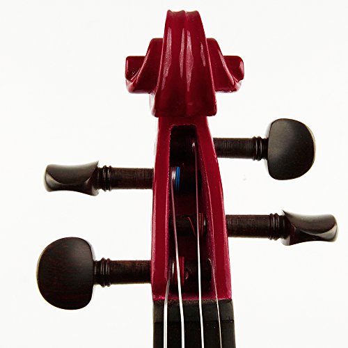 Electric Violin in Three Colors for Music Enthusiasts