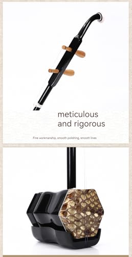 Authentic 2 Strings Erhu Violin for Beginners, 32in