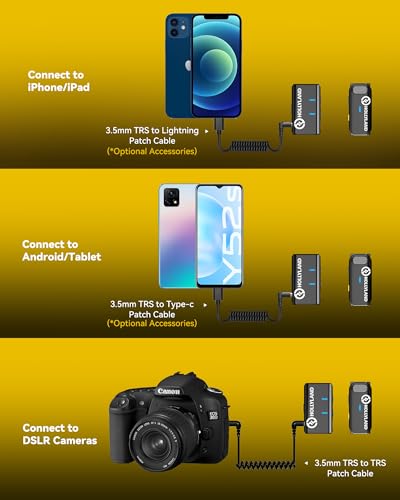 Hollyland Lark M1 Wireless Lavalier Microphone for VIP