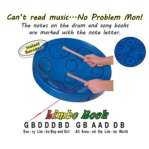 Panyard Jumbie Jam Steel Drum (W1158) - Silver VIP