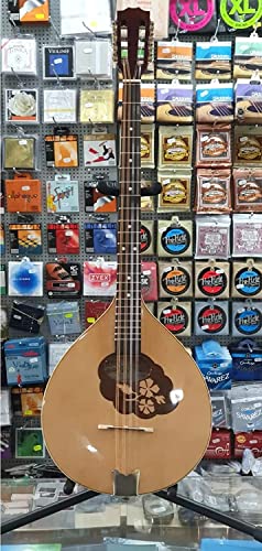 Irish Bouzouki - An Adaptation of Greek Instrument