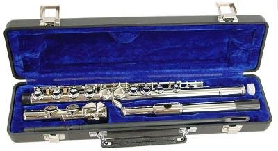 Hisonic 2810N VIP Flute