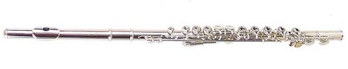 Hisonic 2810N VIP Flute
