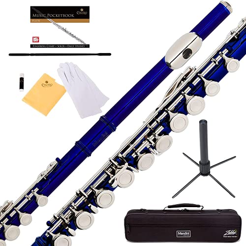 Cecilio Flute Bundle with Case, Stand, and Lesson Book