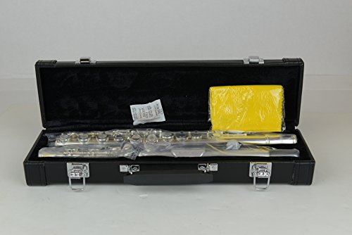 Hisonic 2810N VIP Flute