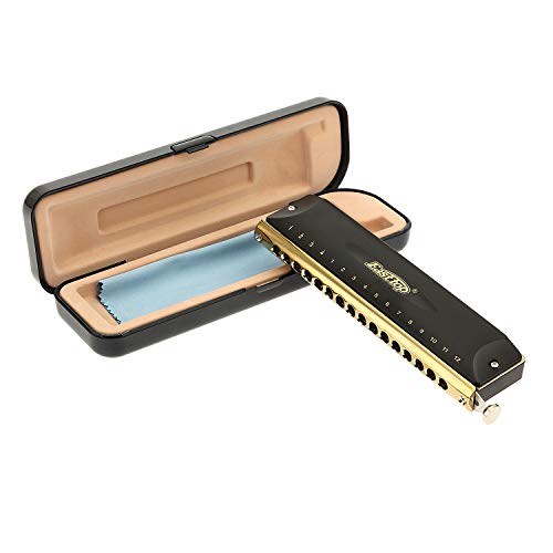 Chromatic Harmonica C, 16 Hole 64 Tone - VIP Shopping