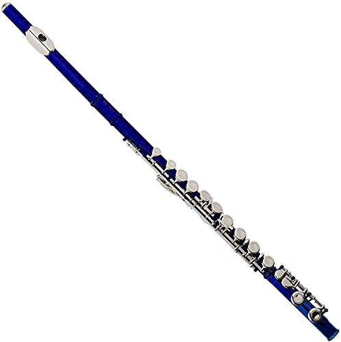 Cecilio Flute Bundle with Case, Stand, and Lesson Book