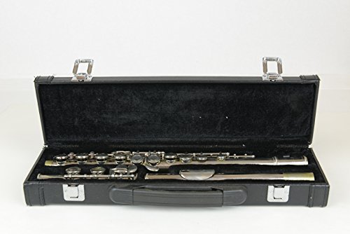 Hisonic 2810N VIP Flute
