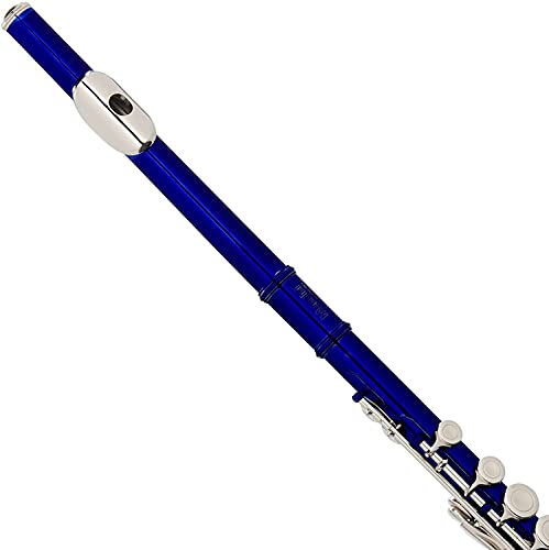 Cecilio Flute Bundle with Case, Stand, and Lesson Book