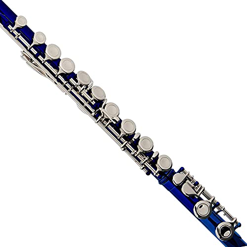 Cecilio Flute Bundle with Case, Stand, and Lesson Book