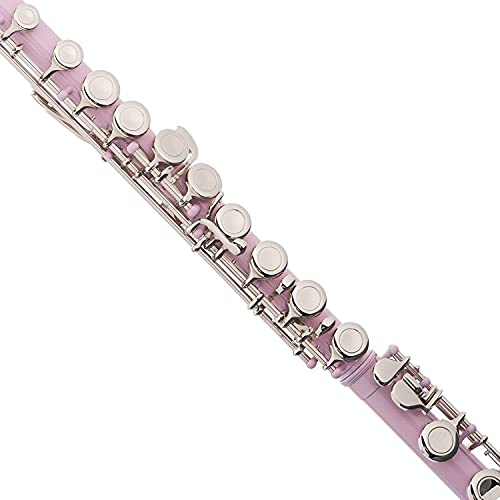 Mendini By Cecilio Flutes - Beginner C Flute