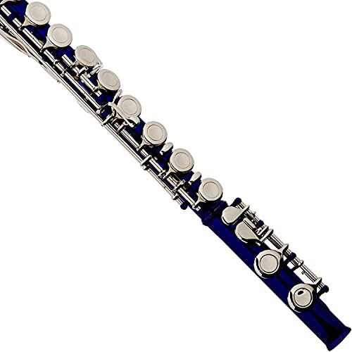 Cecilio Flute Bundle with Case, Stand, and Lesson Book