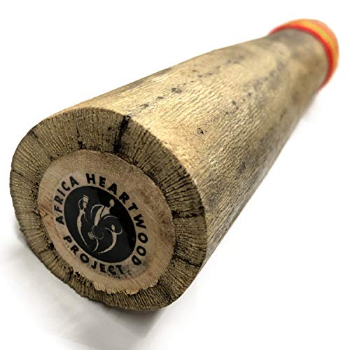 40" Chilean Cactus Rainstick - Authentic Musical Instrument