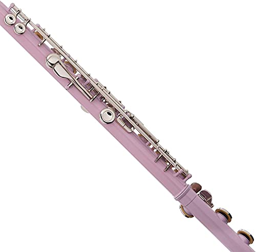 Mendini By Cecilio Flutes - Beginner C Flute