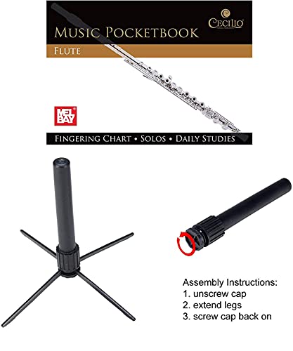 Cecilio Flute Bundle with Case, Stand, and Lesson Book