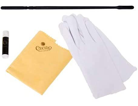 Cecilio Flute Bundle with Case, Stand, and Lesson Book