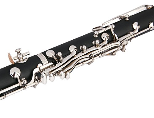 B Flat Clarinet Bundle: Case, 11 Reeds, Care Kit