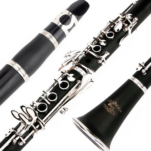B Flat Clarinet Bundle: Case, 11 Reeds, Care Kit