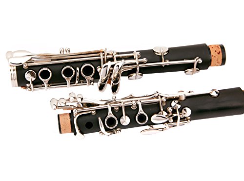 B Flat Clarinet Bundle: Case, 11 Reeds, Care Kit