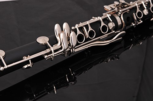 B Flat Clarinet Bundle: Case, 11 Reeds, Care Kit