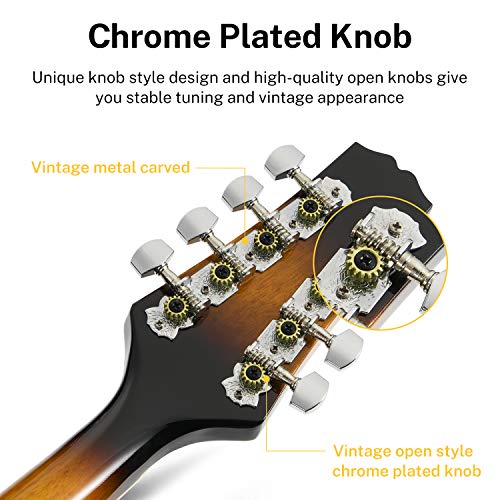 Donner A Style Mandolin - Bundle with Accessories