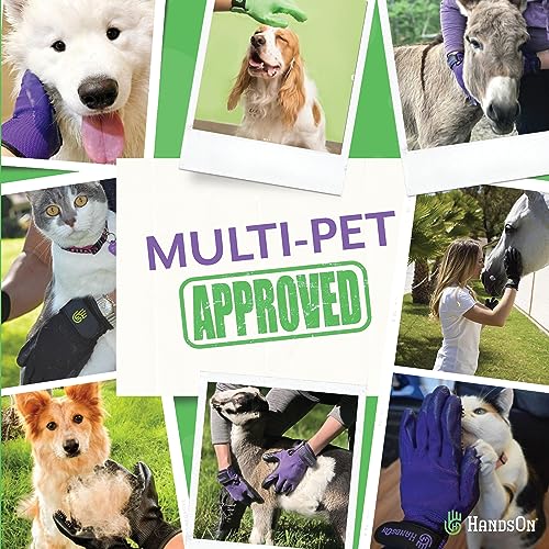 VIP Award-Winning Handson Gloves for Grooming Horses/Dogs/Cats