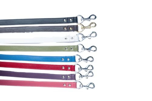 VIP Leather Dog Leash | Elegant & Durable
