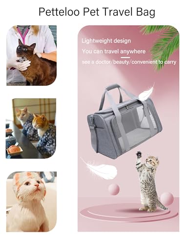 VIP Dog and Cat Carrier for Small Pets