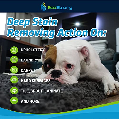 Eco Strong Pet Stain & Odor Eliminator: 1 Gallon