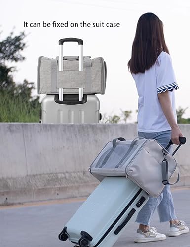 VIP Dog and Cat Carrier for Small Pets