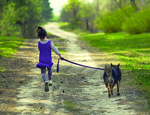 VIP Leather Dog Leash | Elegant & Durable