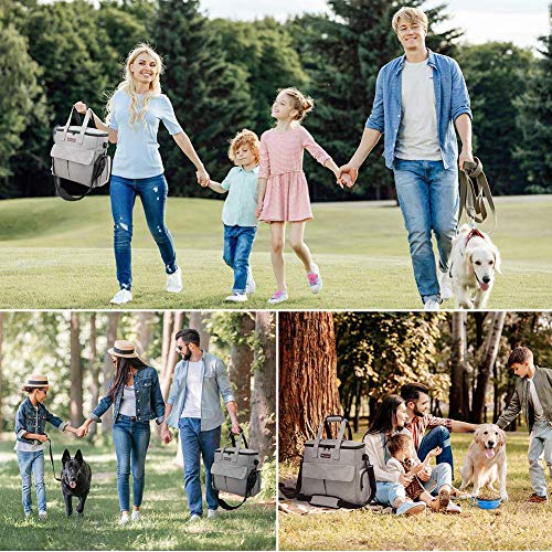 Modoker VIP Pet Travel Set with Accessories (Grey)