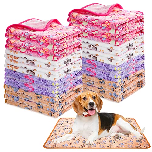 Fluffy Pet Blanket with Cute Paw Print Design