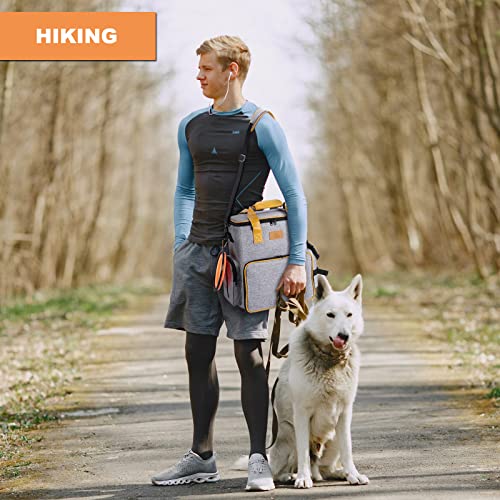 VIP Dog Travel Bag with Multi-Function Pockets