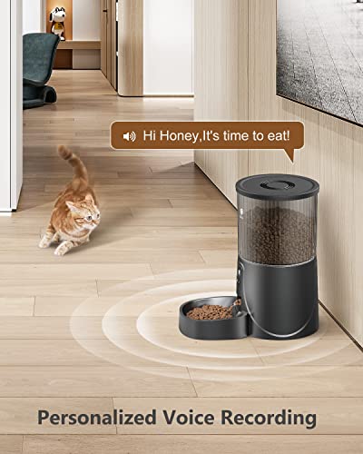 Automatic Pet Feeder for Cats and Dogs, 6 Meals