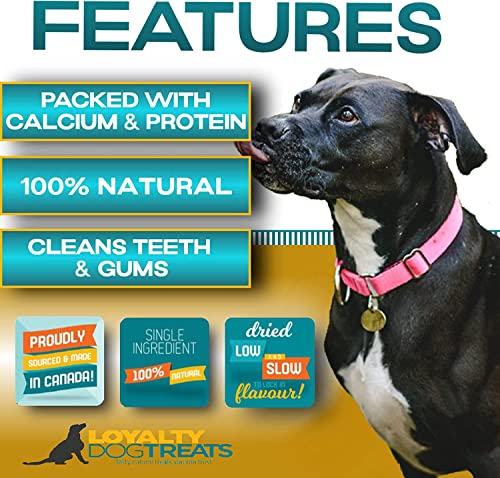 Beef Bully Sticks by Loyalty | 6 inch