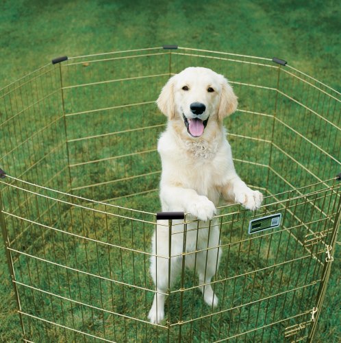 VIP Foldable Metal Pet Exercise Pen, Gold 24x24